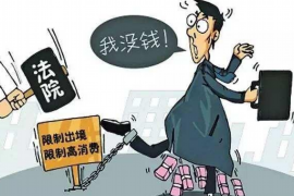 迪庆债务清欠服务